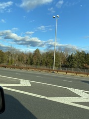 Juniperus virginiana virginiana