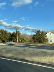 Juniperus virginiana virginiana