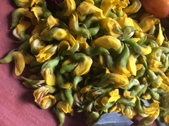 Crotalaria longirostrata