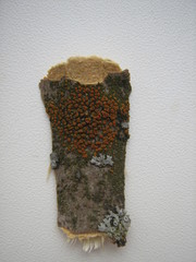 Athallia pyracea