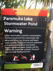 Ischnura aurora aurora