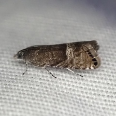 Sereda tautana