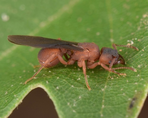 (c) skitterbug, some rights reserved (CC BY), uploaded by skitterbug