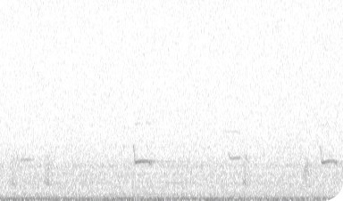 View observation of {o.common_name} on iNaturalist