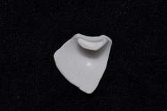 Naticarius alapapilionis