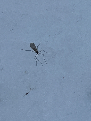 Unknown species found near Narragansett, RI, US