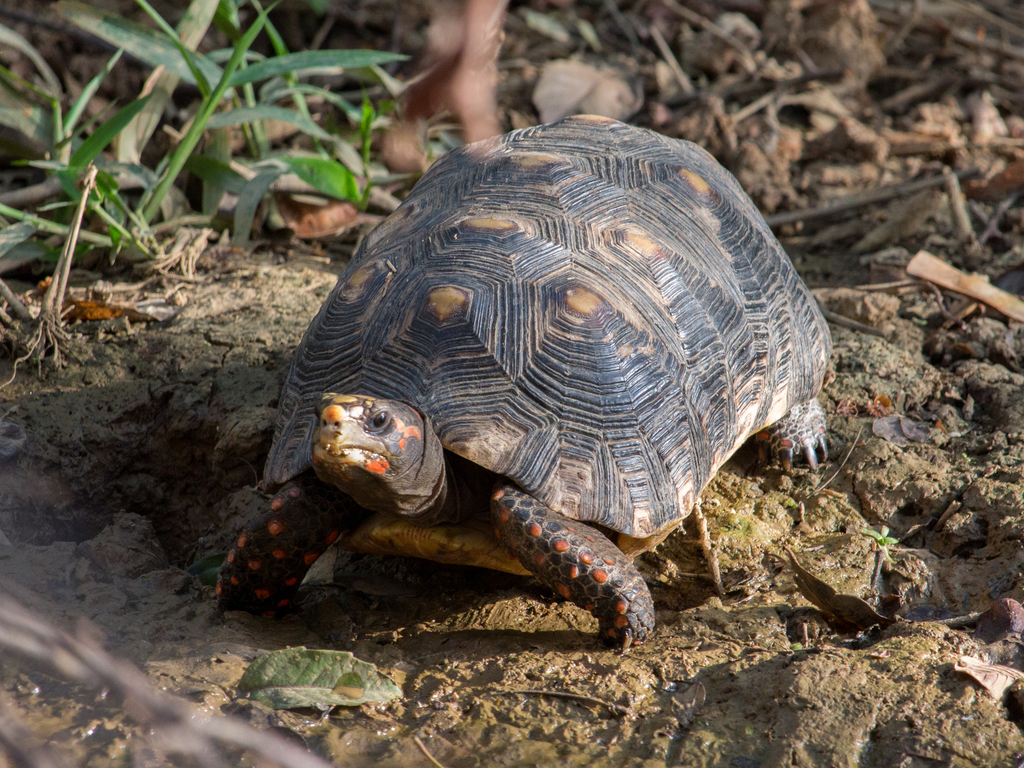 Photo by Oswaldo Hernández