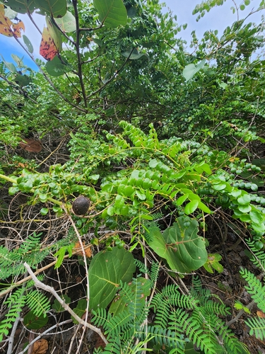 Foto de Desconhecido
