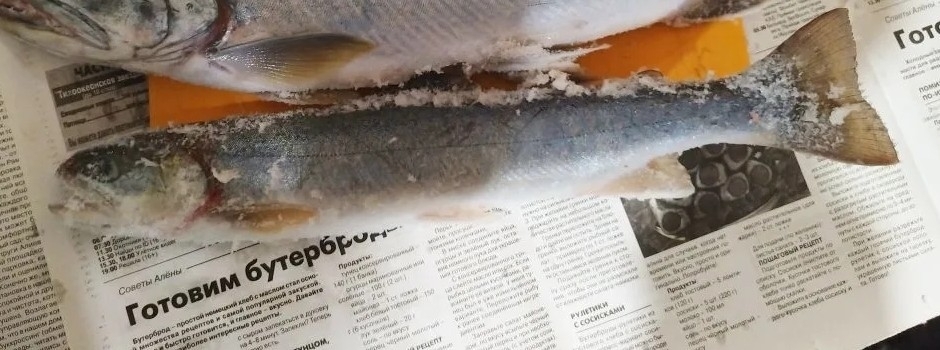 Asian Dolly Varden photo 7