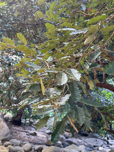 Foto de Desconhecido