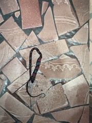 Oxyrhopus guibei
