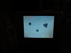 Pseudoplectania vogesiaca