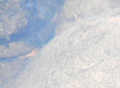 Rhinogobius duospilus