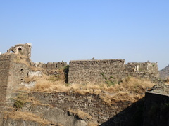 Semnopithecus hypoleucos