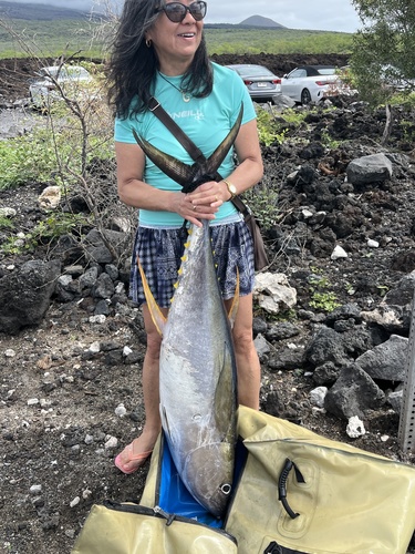 Thunnus, 2026-02-23