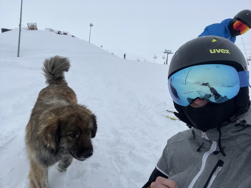 Kutya observed by puskasb