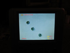 Pseudoplectania melaena