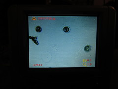 Pseudoplectania vogesiaca