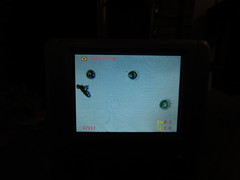 Pseudoplectania vogesiaca