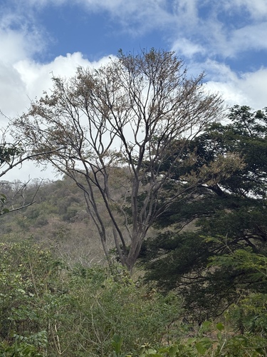 Foto de Desconhecido