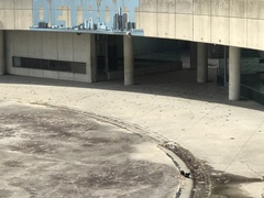 Sciurus carolinensis