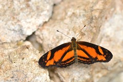 Castilia