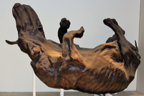 Woolly Rhino