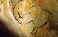 Woolly Rhino photo 2
