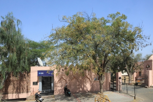 Neem