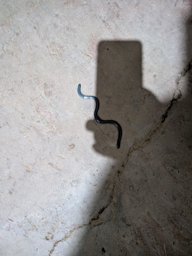 Zambezi Blind Snake