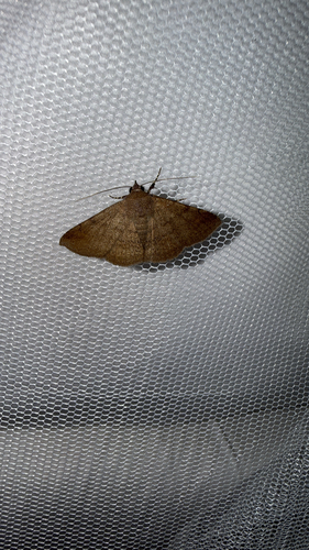 Massala asema