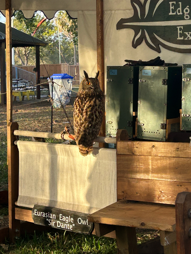 View observation of {o.common_name} on iNaturalist