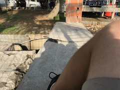 Varanus salvator macromaculatus