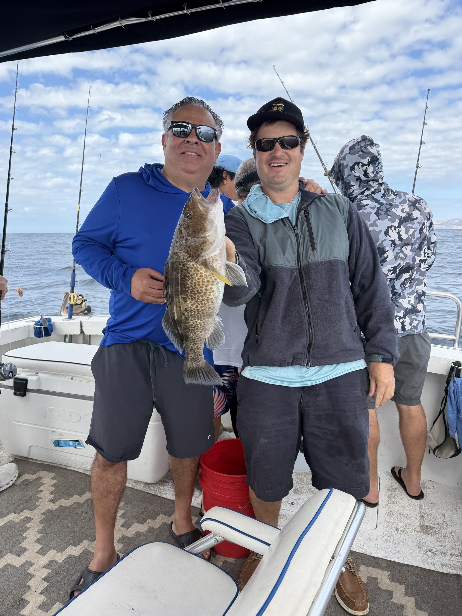 Goldspotted Sand Bass photo 6