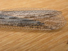 Heoclisis fundata