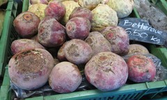 Beta vulgaris vulgaris