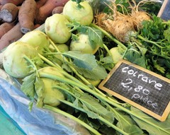 Brassica oleracea gongylodes