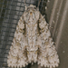Acronicta clarescens - Photo (c) krancmm, algunos derechos reservados (CC BY-NC), subido por krancmm