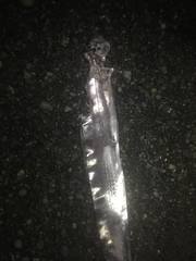 Trachipterus altivelis