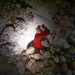 Hexabranchus sanguineus