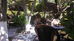 Streptopelia decaocto