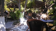 Streptopelia decaocto