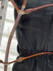 Proteoteras willingana