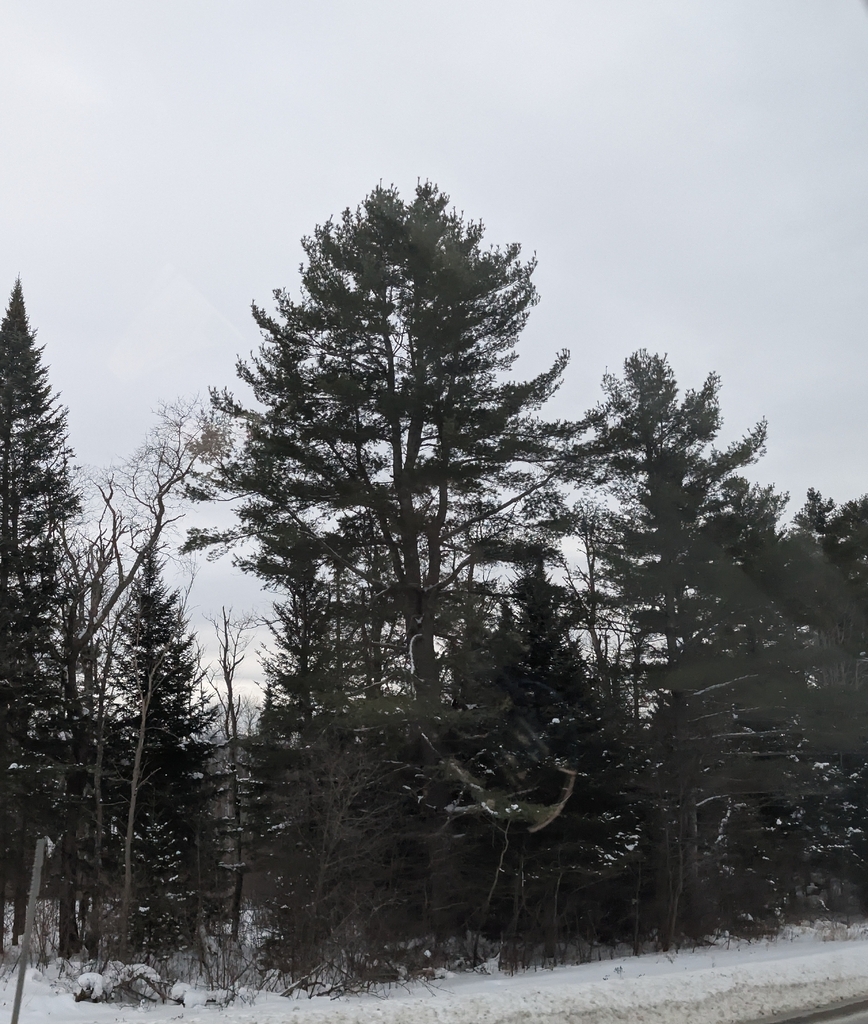 Along the River Campground & Cabins