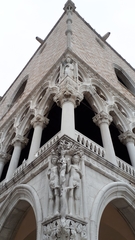 Larus michahellis michahellis