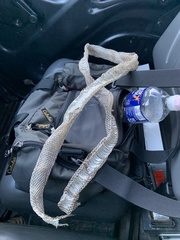 Pantherophis alleghaniensis