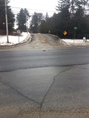 Mephitis mephitis nigra