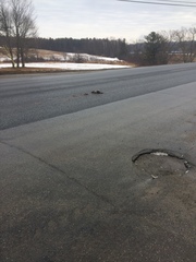 Mephitis mephitis nigra