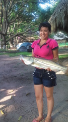 Centropomus undecimalis