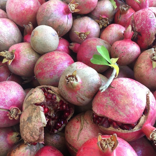 pomegranate
